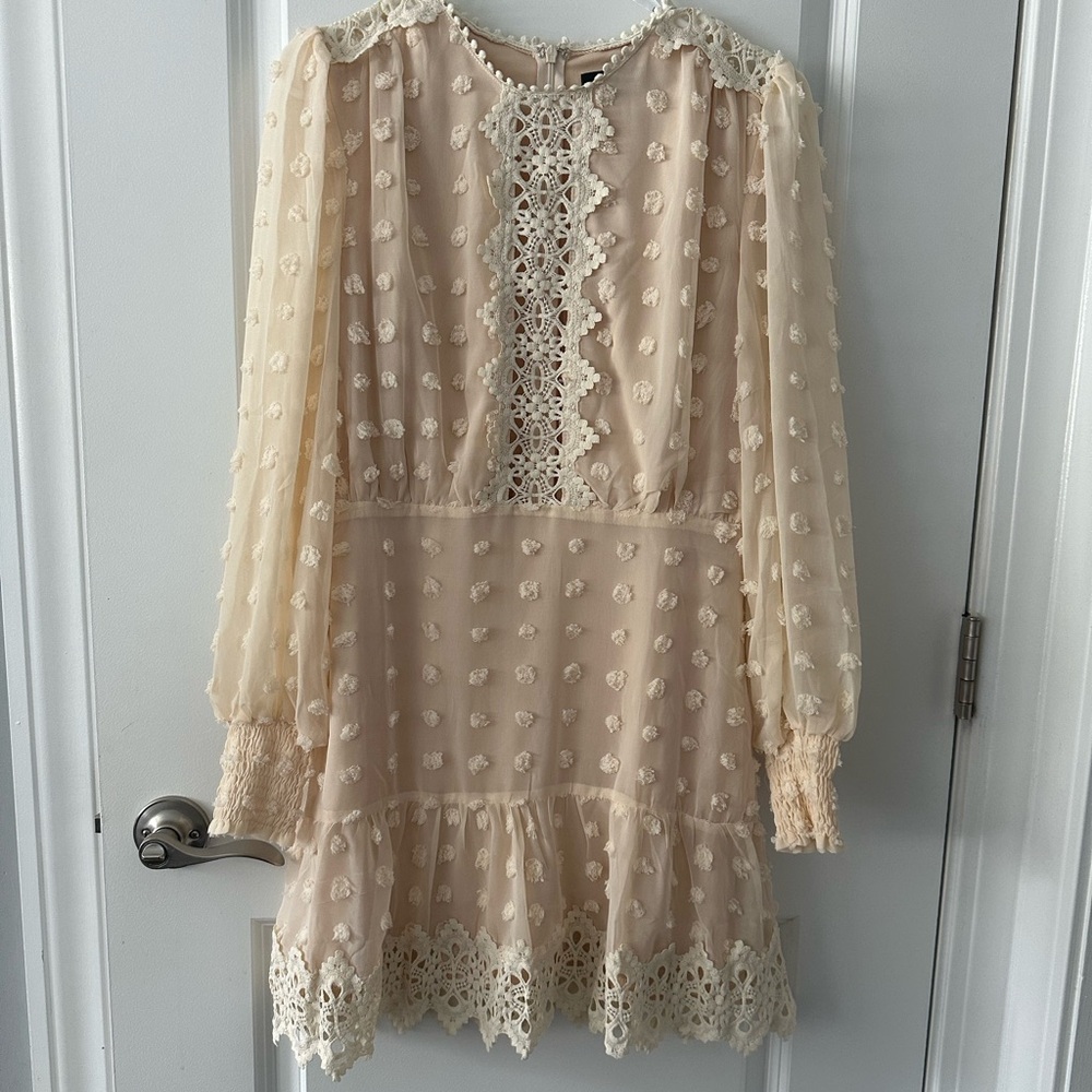 Long sleeve sheer mini dress size S Lulus